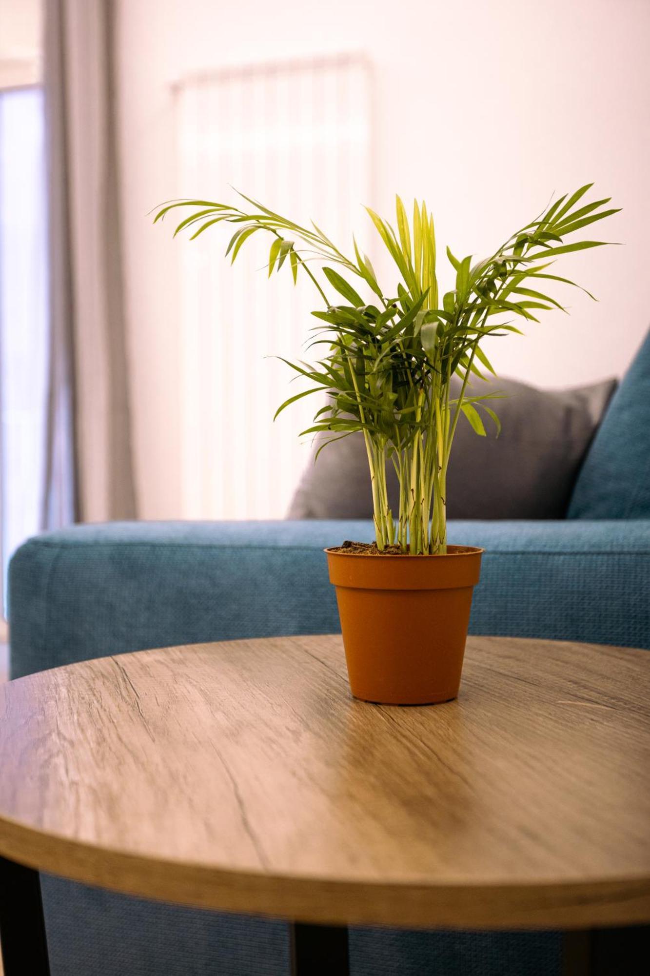 Song House Apartment Centro Storico 7 Pax 나폴리 외부 사진